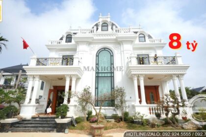 chu-tich-maxhome-tham-quan-biet-thu-tan-co-dien