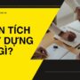 Diện tích xây dựng là gì? Tất tần tật thông tin cần biết về diện tích xây dựng