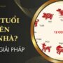 Năm Tuổi Có Nên Xây Nhà? Bật Mí Sự Thật và Giải Pháp