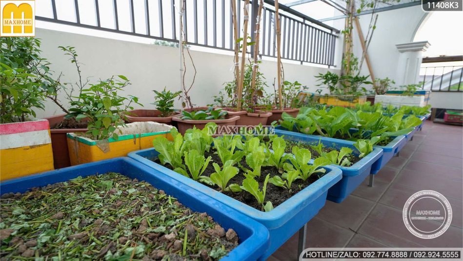 thuc-te-ban-giao-mau-nha-pho-tan-co-4-tang-thiet-ke-tinh-te-thi-cong-chuan-net-mh02825